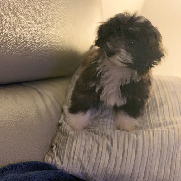 RaeLynJam. ❣️ - Picture 1 of 1